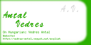 antal vedres business card
